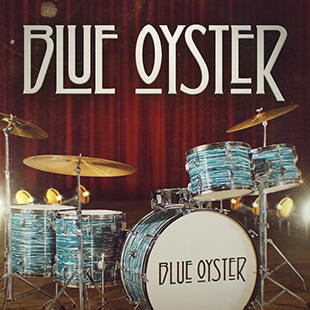 Blue Oyster