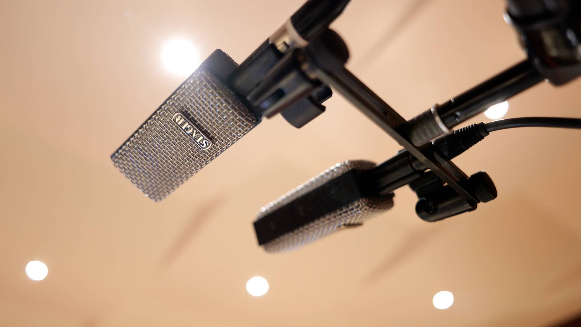 Stager microphones