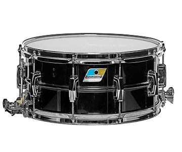 Ludwig Black Beauty